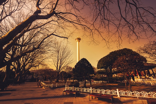 Busan Turm mit Schattenbild großen Baum bei Sonnenuntergang in Busan, Südkorea.