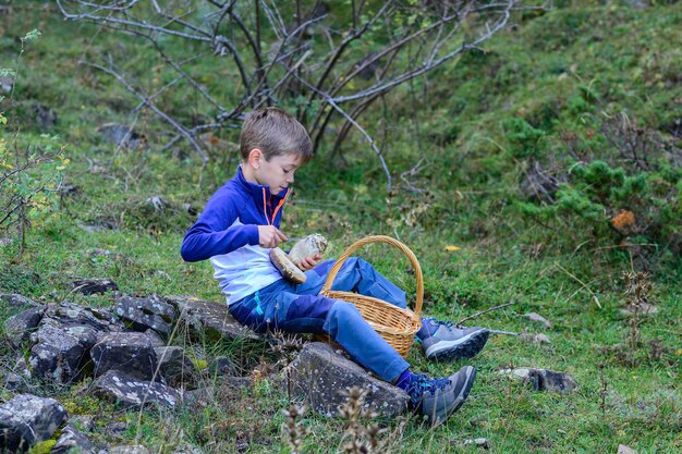 Buscando setas en el bosque Niño cortando una seta en el bosque Temporada de recolección de setas en el bosqueOtoño