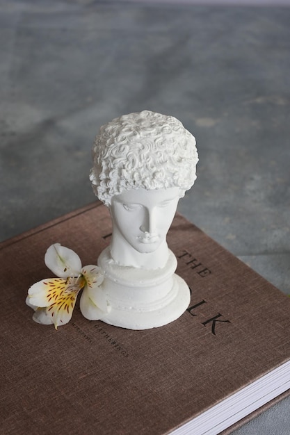 Un busto blanco de un hombre sobre un libro con una flor.