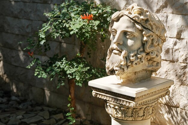 Busto de escultura de yeso cabeza de hombre en el jardín