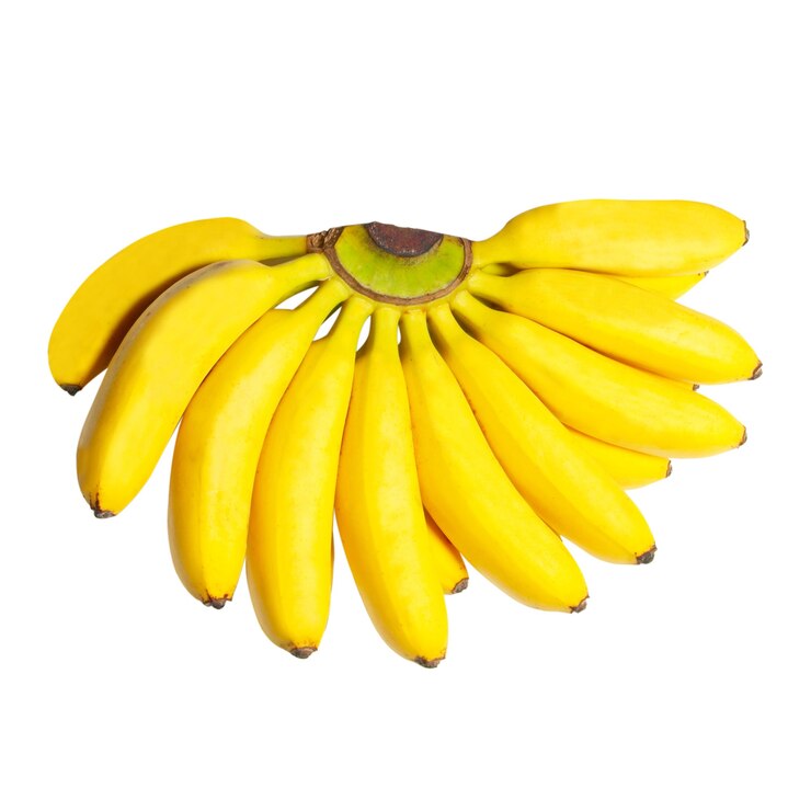 Foto butch de pequenas bananas isoladas em branco.