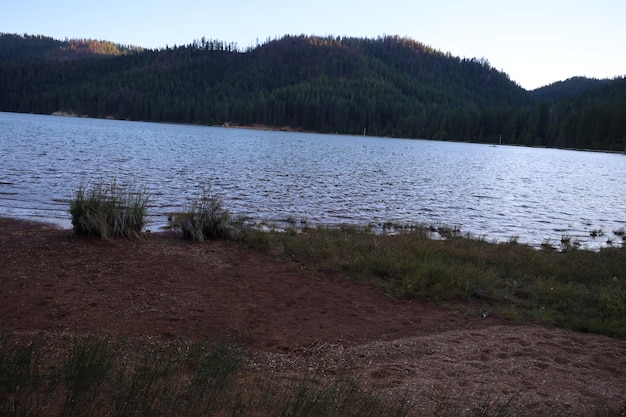 Butte lago Lassen bosque California