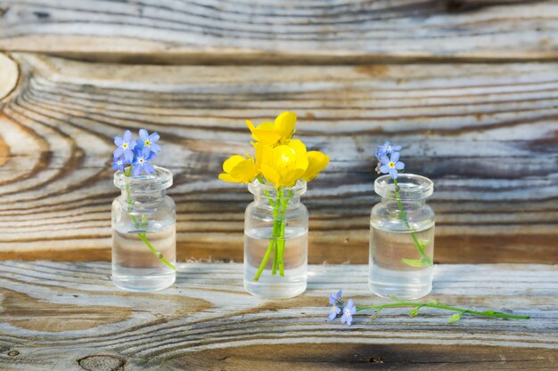 Buttercups e miosótis em pequenos potes de vidro.