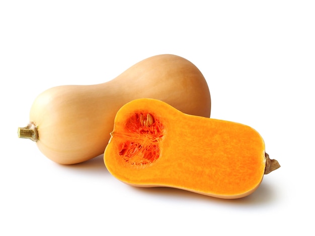 Butternut-Kürbis-Kürbis isoliert auf weißem Hintergrund