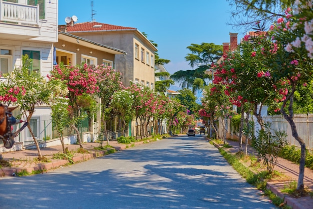 Buyukada Insel in der Türkei