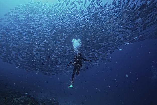 buzo y banco de peces, tornado de peces, hombre del ecosistema de vista submarina bajo el agua