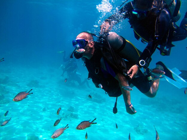 Foto buzo de hombre y hermoso colorido arrecife de coral bajo el agua.