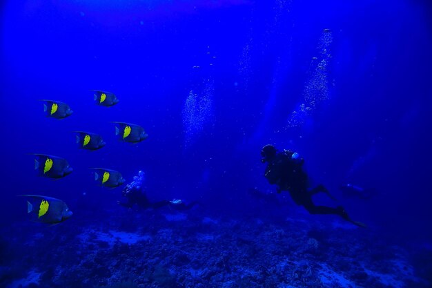 buzos bajo el agua en profundidad en el fondo azul del mar