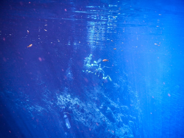 Buzos en laguna de agua azul