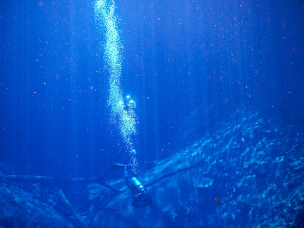 Buzos en laguna de agua azul