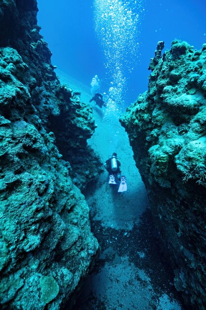 Buzos en el mar Rojo en Dahab Buceo en Egipto