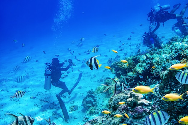 Buzos nadando bajo el agua con arrecifes de coral.