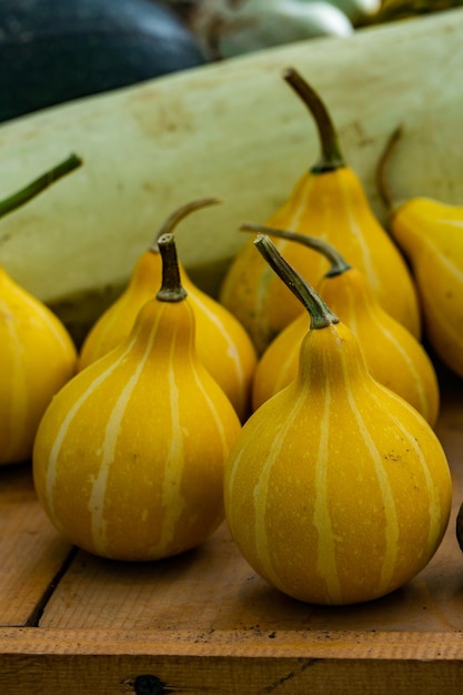 Cabaças amarelas no mercado de vegetais