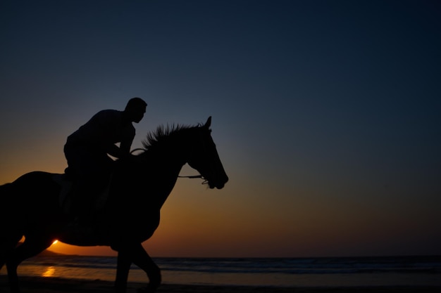 Foto cabalga hacia la puesta de sol