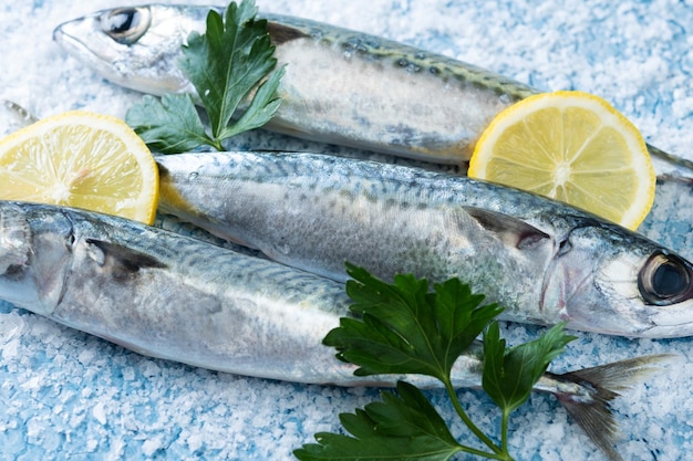 Caballa pescado crudo con sal alrededor aislado sobre fondo blanco.