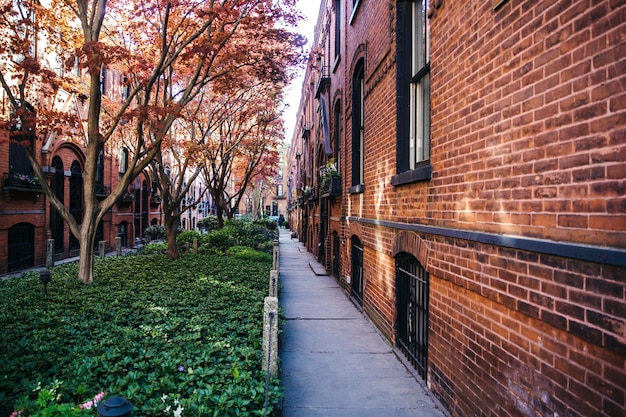 Caballerizas en Brooklyn. Filas o patio de edificios de apartamentos con césped y árboles en el medio