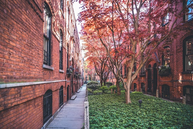 Caballerizas en Brooklyn. Filas o patio de edificios de apartamentos con césped y árboles en el medio