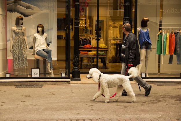 caballero caminando con un perro blanco en la calle