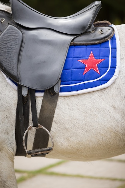 Caballo blanco con asiento de cuero negro y una silla de montar azul con estrella escarlata bordada.