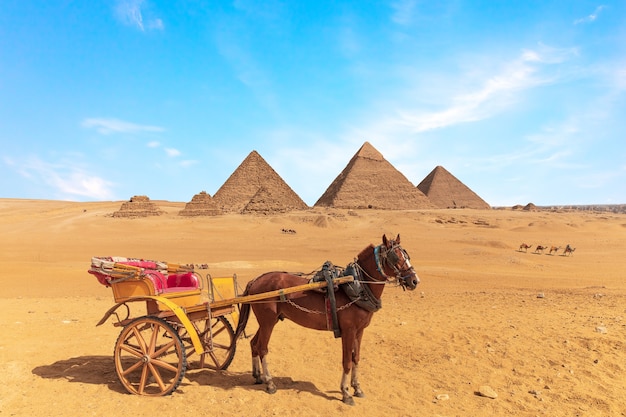 Un caballo con el carro frente a las Grandes Pirámides de Giza, Egipto.