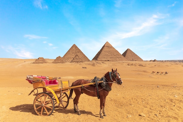 Un caballo con el carro frente a las Grandes Pirámides de Giza, Egipto.