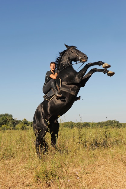 Foto caballo de cría