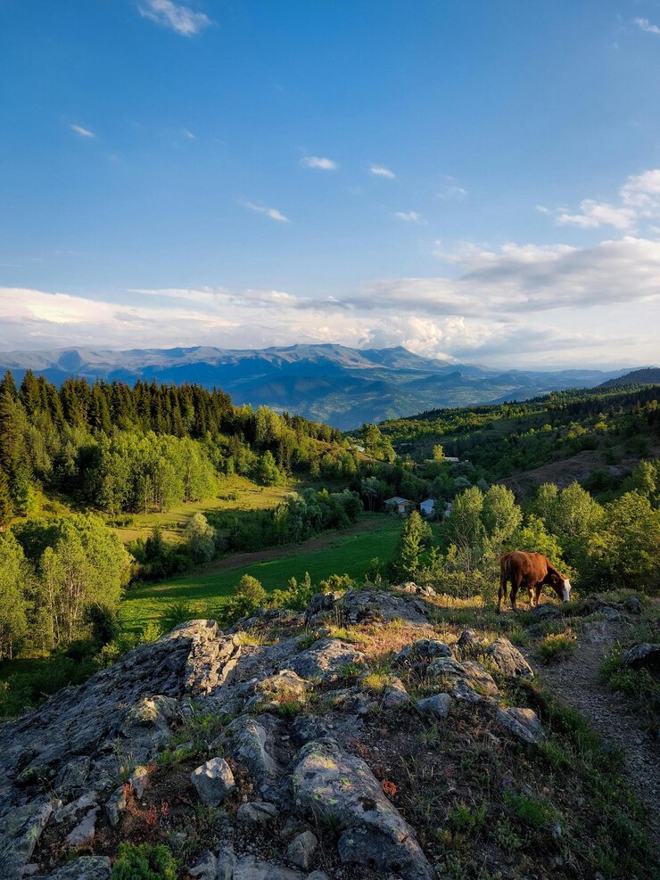 un caballo está de pie en una colina con montañas en el fondo