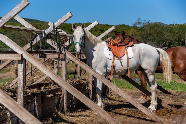 Foto el caballo gris blanco de la silla occidental