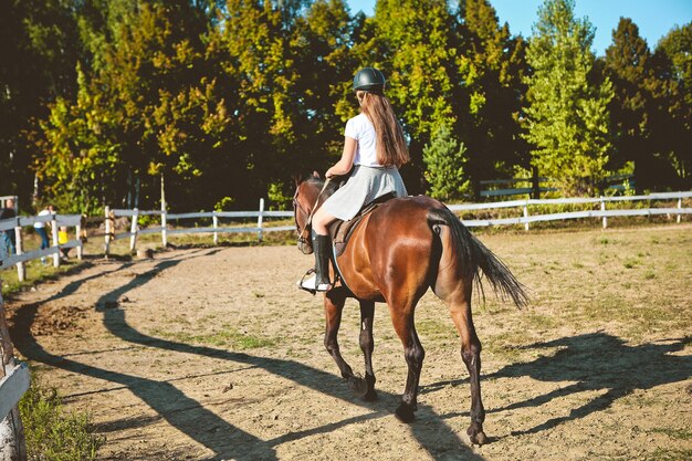 Foto caballo jinete campo cerca de la montura hobby