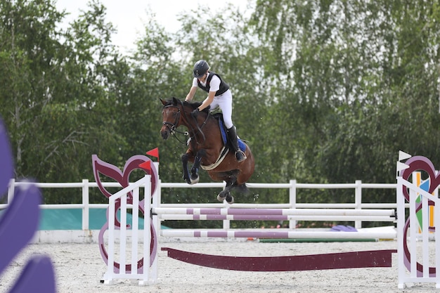 Foto caballo y jinete sobre un caballo en concurso de salto