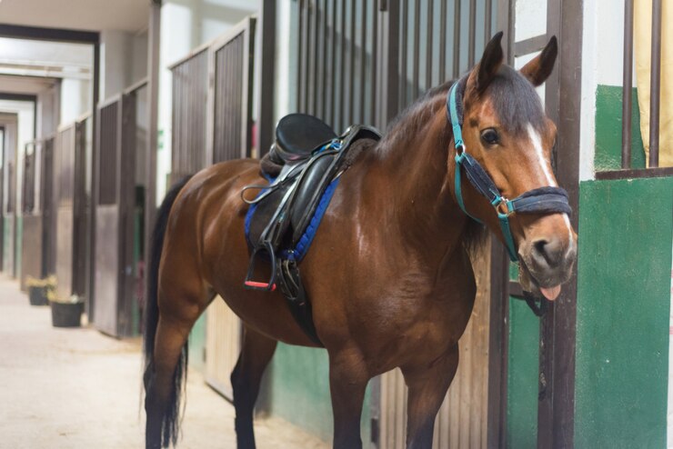 Foto caballo marrón en el establo