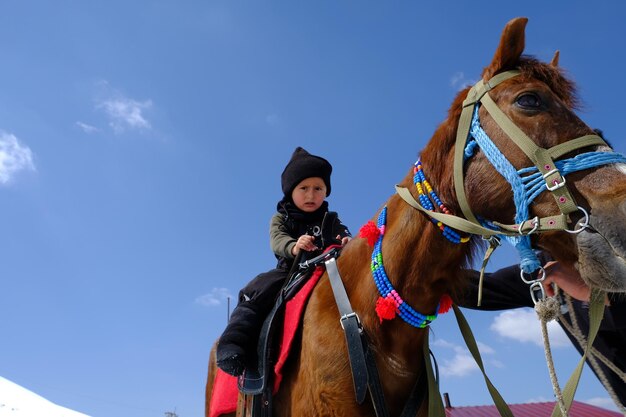 Foto caballo y niño de pie en el campo contra el cielo