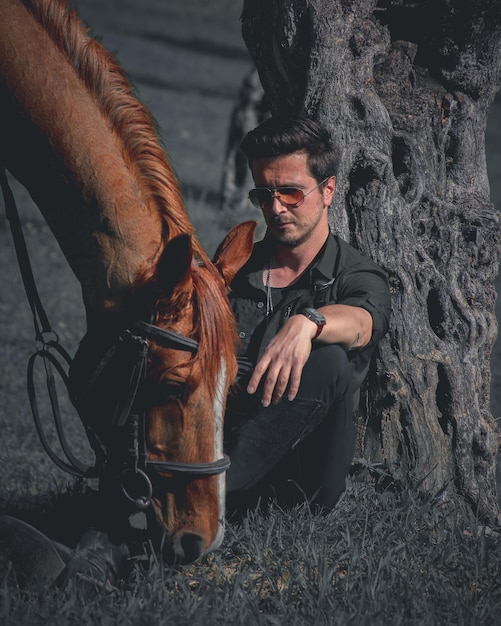 Foto caballo de pie en el campo