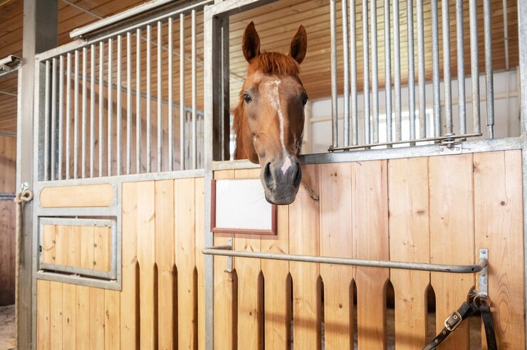 Foto caballo de pie en un establo en el establo moderno