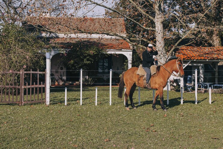 Foto caballo de pie en el rancho