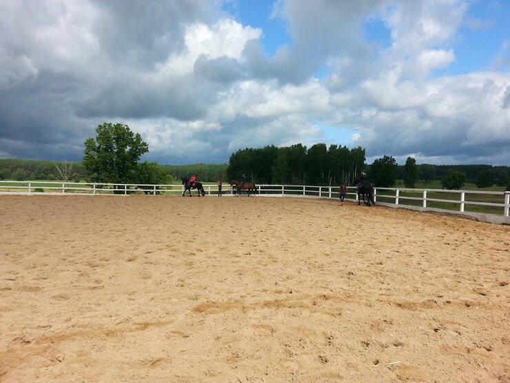Foto caballo en el rancho contra el cielo