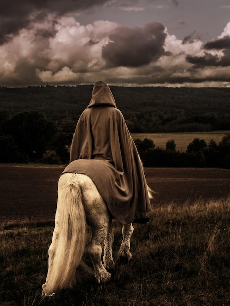 Caballo sentado en el campo contra el cielo