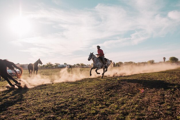 Caballo de velocidad granjero de animales campo