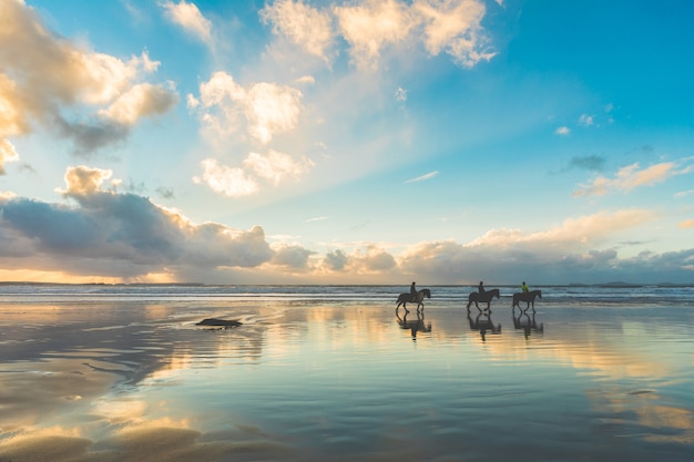 Caballos caminando por la playa al atardecer