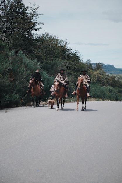 Caballos en el camino