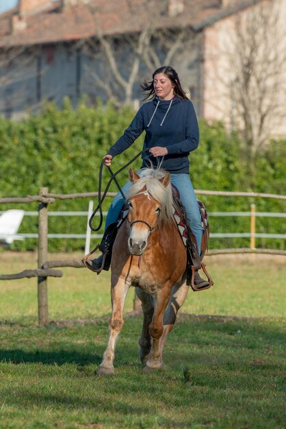 Foto los caballos corren libres