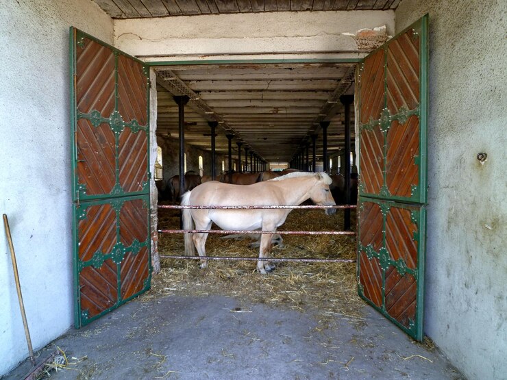 Foto los caballos de pie en el establo