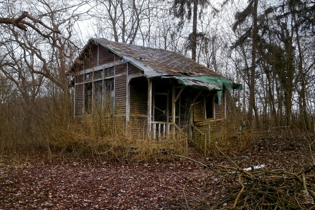 Cabana abandonada na floresta