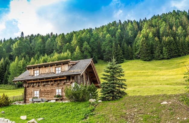 Cabana alpina de madeira
