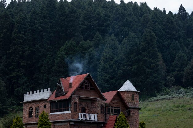 Cabaña en el bosque con árboles al fondo y humo saliendo de la chimenea