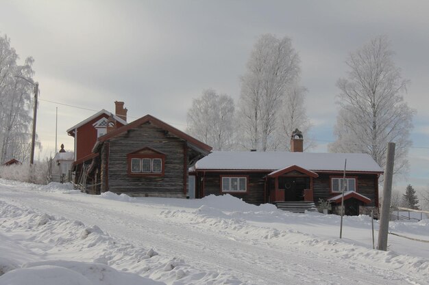 cabaña en un bosque nevado