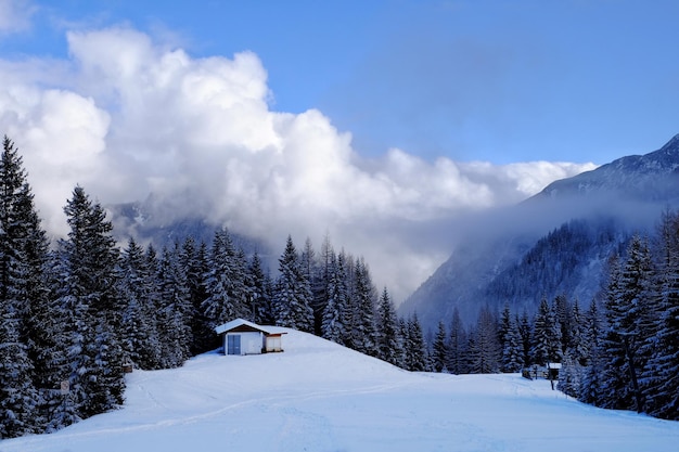 Cabaña en un campo cubierto de nieve en medio de árboles contra el cielo