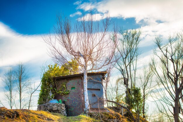 Cabaña de caza camuflada en el prado entre plantas