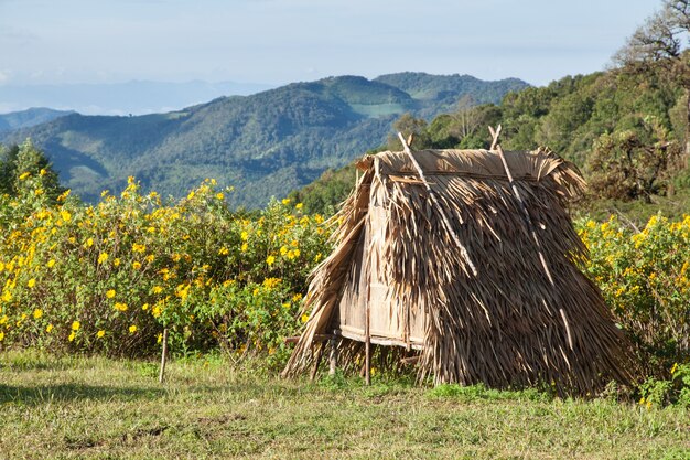 cabaña en el césped