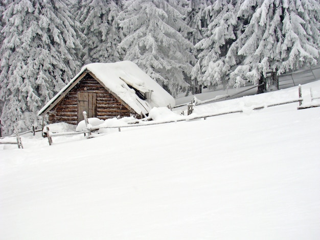 Cabana coberta de neve nas montanhas